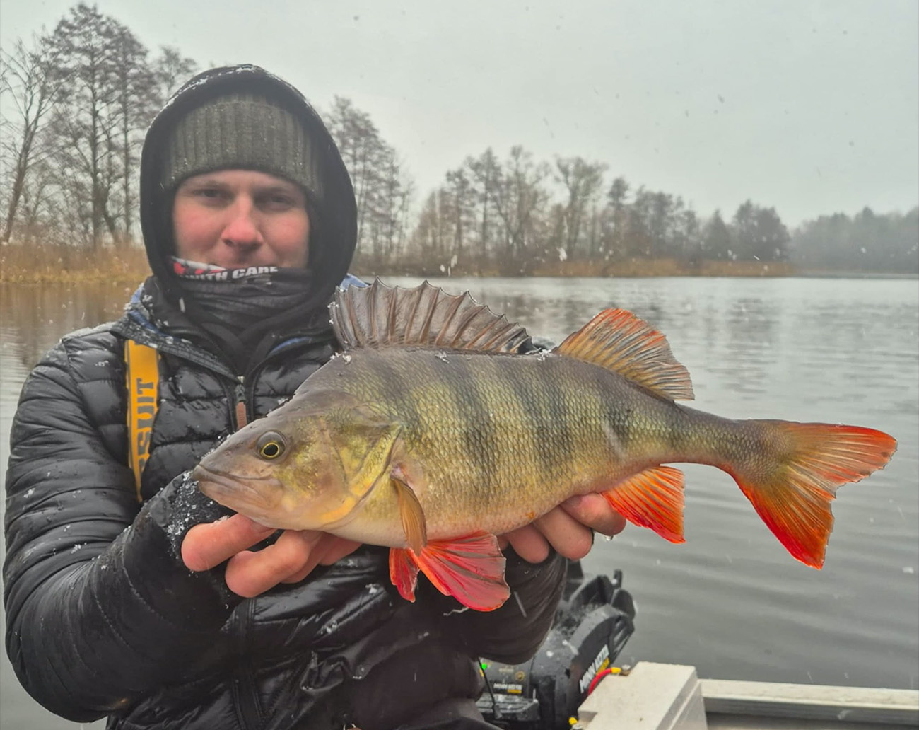 Owner Wacky Jig Head